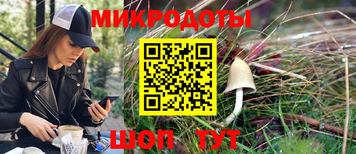 Псилоцибиновые грибы Cubensis Ялта